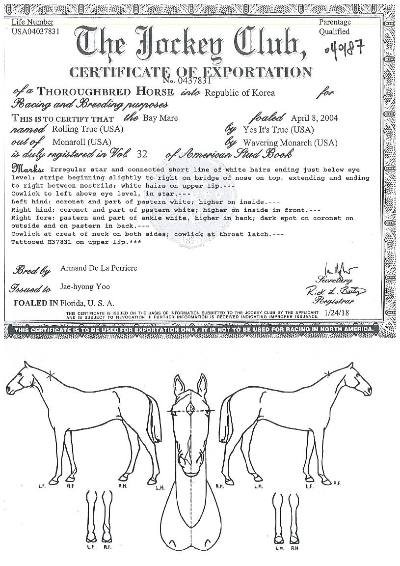 �Ѹ�Ʈ���� ����,���,�޸�,�λ�,�ٸ��� Ư¡����