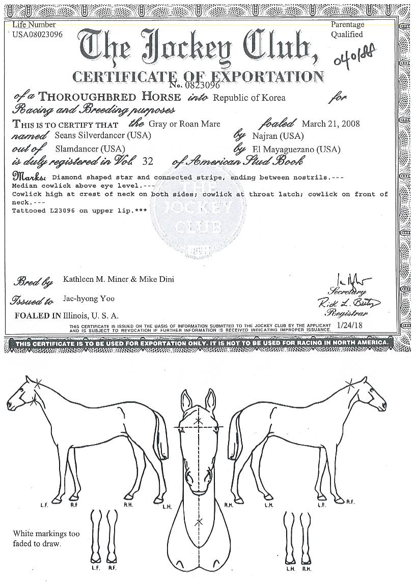 ½ÅÁî½Ç¹ö´í¼ÀÇ Ãø¸é,¿ì¸é,µÞ¸é,µÎ»ó,´Ù¸®ÀÇ Æ¯Â¡µµÇØ