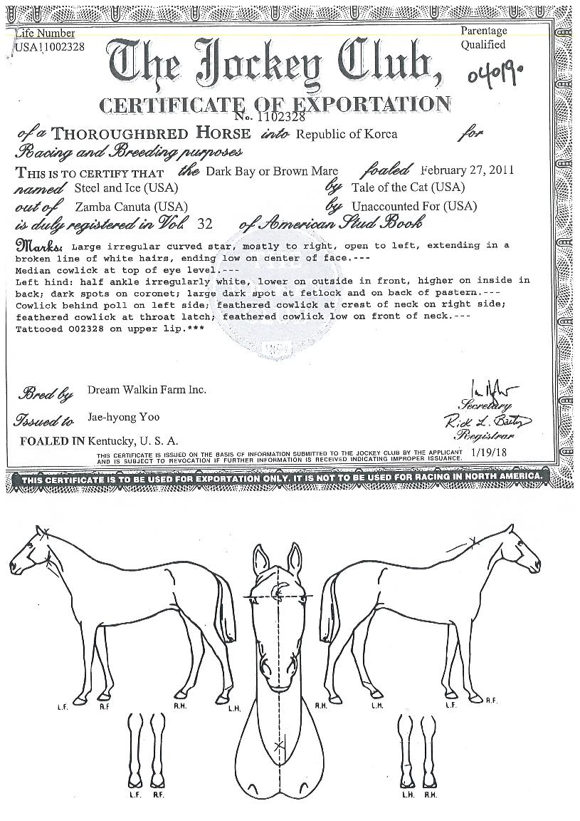 ��ƿ�ؾ��̽��� ����,���,�޸�,�λ�,�ٸ��� Ư¡����