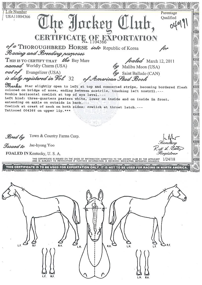 ¿ùµé¸®ÂüÀÇ Ãø¸é,¿ì¸é,µÞ¸é,µÎ»ó,´Ù¸®ÀÇ Æ¯Â¡µµÇØ