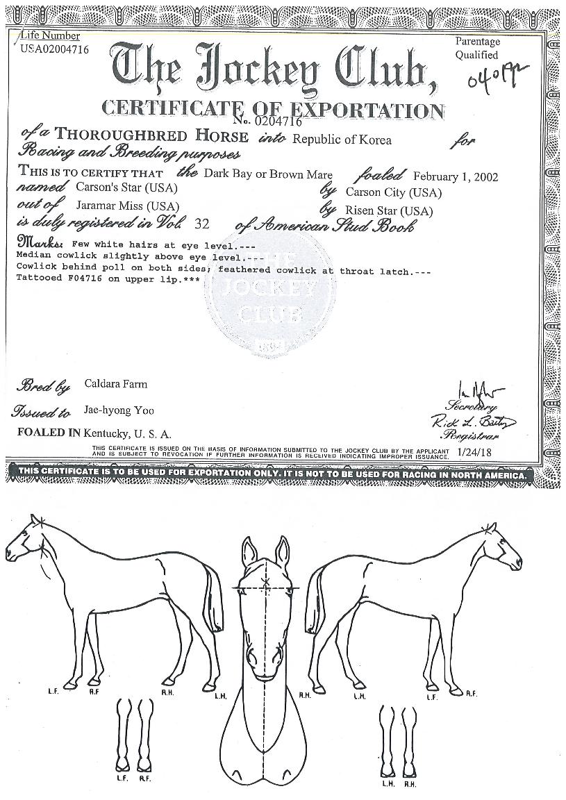 Ä«½¼ÁŸÀÇ Ãø¸é,¿ì¸é,µÞ¸é,µÎ»ó,´Ù¸®ÀÇ Æ¯Â¡µµÇØ