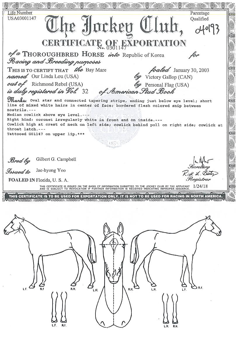 ¾Æ¿ö¸°´Ù·çÀÇ Ãø¸é,¿ì¸é,µÞ¸é,µÎ»ó,´Ù¸®ÀÇ Æ¯Â¡µµÇØ