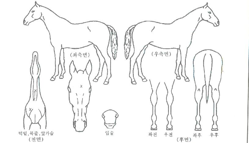 �۽ý��� ����,���,�޸�,�λ�,�ٸ��� Ư¡����