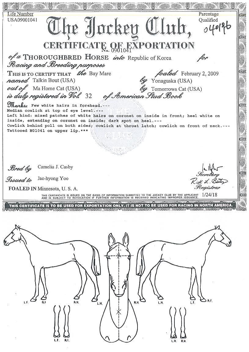 ÅäŲ¹Ù¿ìÆ®ÀÇ Ãø¸é,¿ì¸é,µÞ¸é,µÎ»ó,´Ù¸®ÀÇ Æ¯Â¡µµÇØ