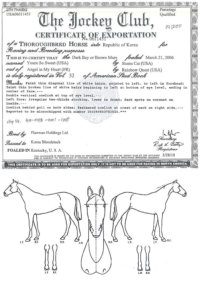 À¯¾Æ¼Ò½ºÀ§Æ®ÀÇ Ãø¸é,¿ì¸é,µÞ¸é,µÎ»ó,´Ù¸®ÀÇ Æ¯Â¡µµÇØ