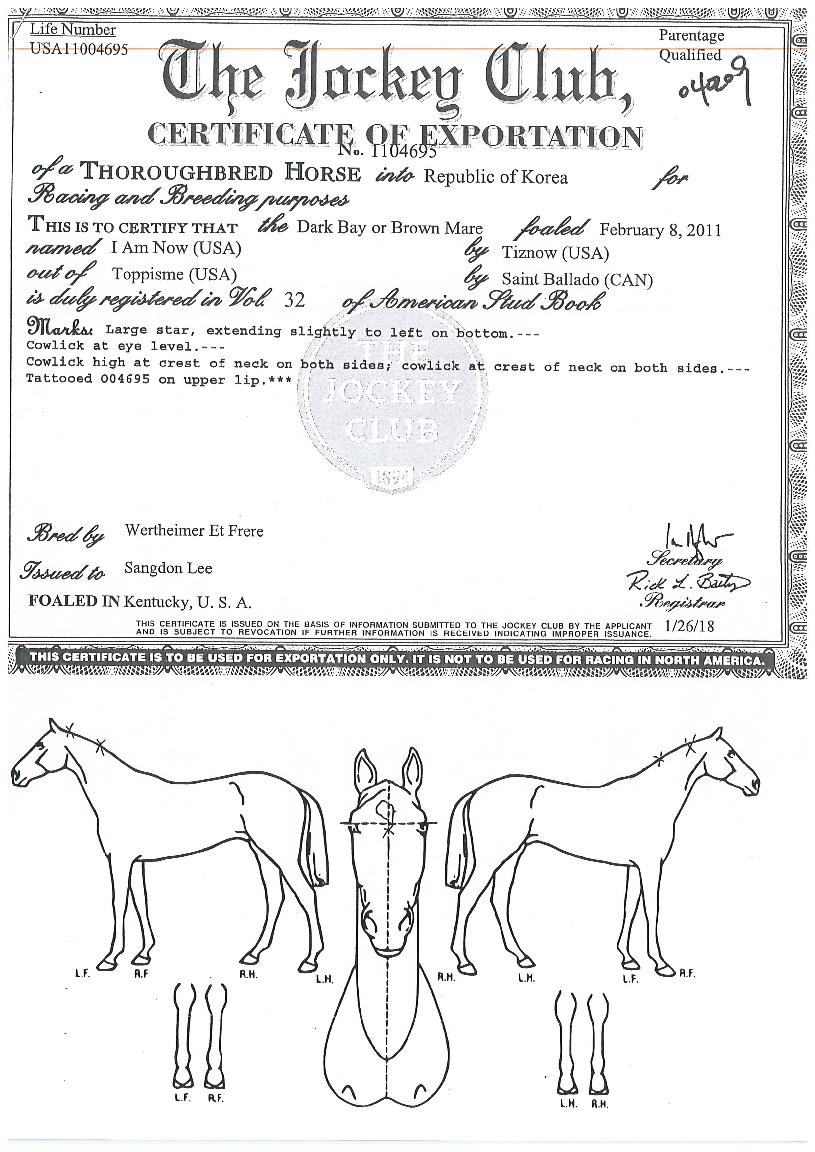 ¾Æ¿¥³ª¿ìÀÇ Ãø¸é,¿ì¸é,µÞ¸é,µÎ»ó,´Ù¸®ÀÇ Æ¯Â¡µµÇØ