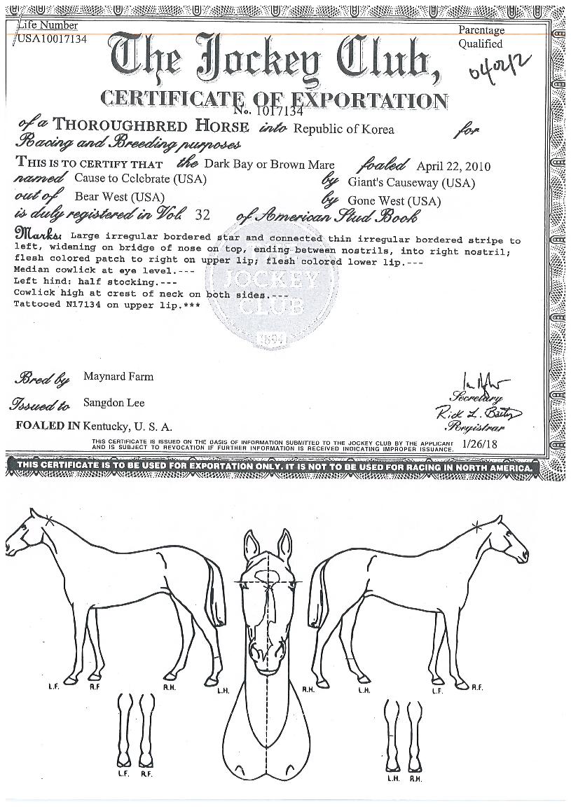 ÄÚÁîÅõ¼¿·¯ºê·¹Æ®ÀÇ Ãø¸é,¿ì¸é,µÞ¸é,µÎ»ó,´Ù¸®ÀÇ Æ¯Â¡µµÇØ