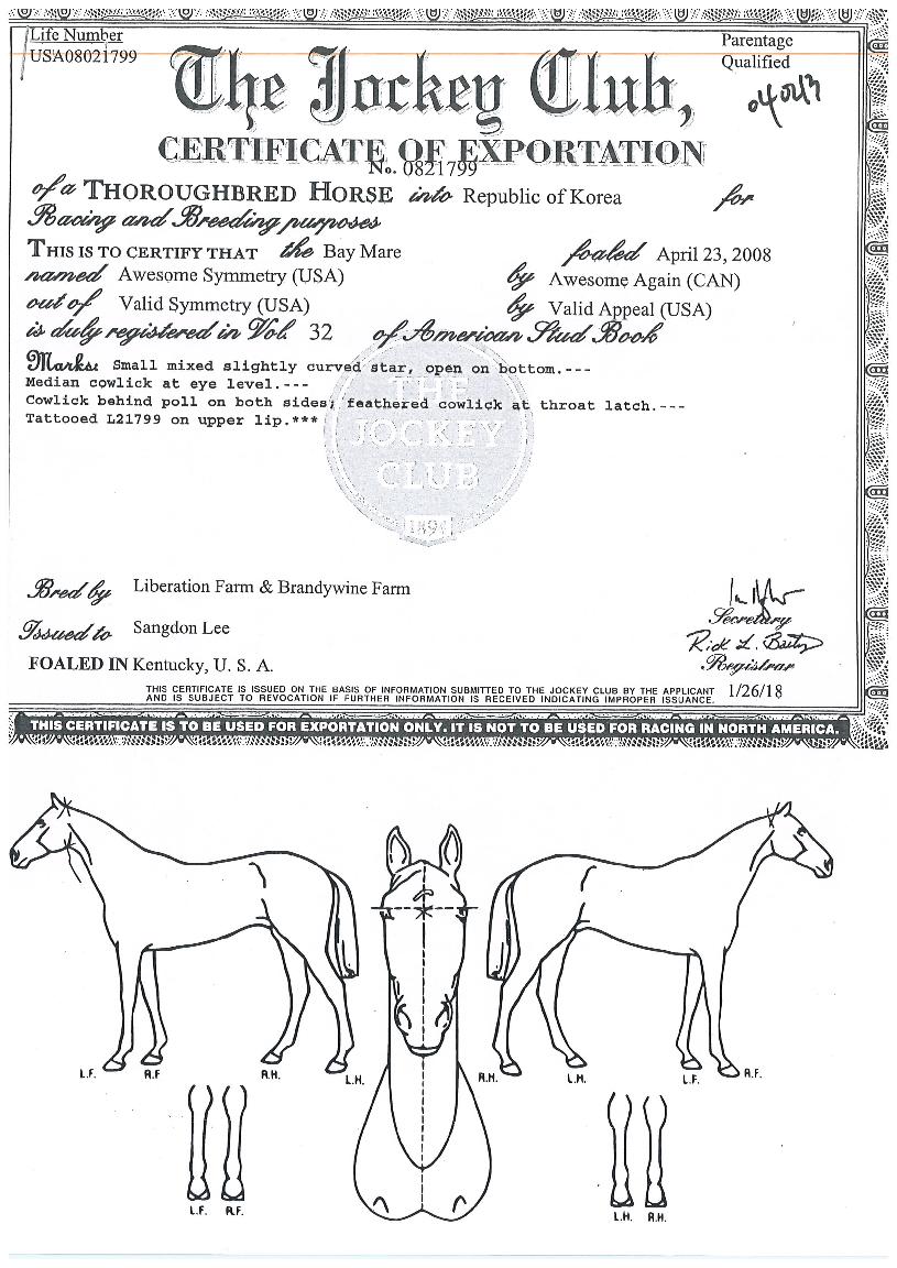 ¿À¼¶½Ã¸ÓÆ®¸®ÀÇ Ãø¸é,¿ì¸é,µÞ¸é,µÎ»ó,´Ù¸®ÀÇ Æ¯Â¡µµÇØ