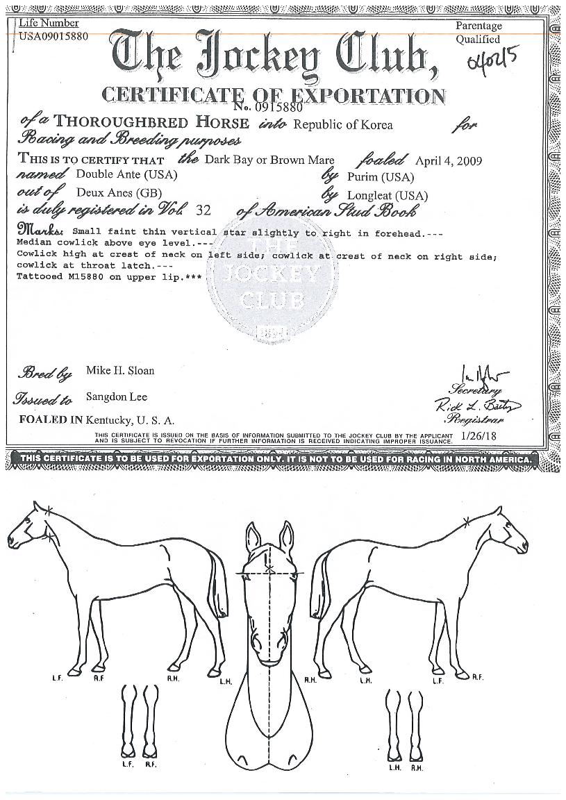 ´õºí¾ØÆ¼ÀÇ Ãø¸é,¿ì¸é,µÞ¸é,µÎ»ó,´Ù¸®ÀÇ Æ¯Â¡µµÇØ