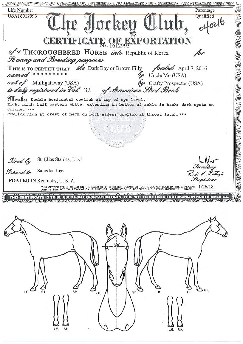 �������� ����,���,�޸�,�λ�,�ٸ��� Ư¡����