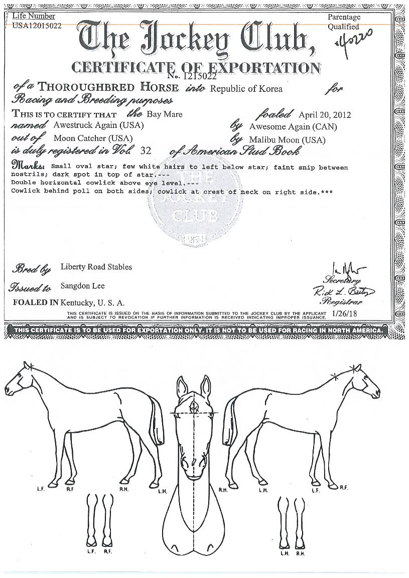 ¾Æ½ºÆ®·°¾î°ÔÀÎÀÇ Ãø¸é,¿ì¸é,µÞ¸é,µÎ»ó,´Ù¸®ÀÇ Æ¯Â¡µµÇØ