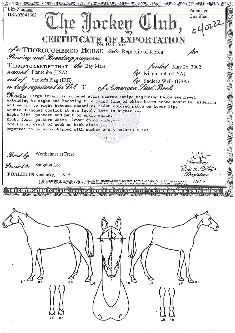 �ö����� ����,���,�޸�,�λ�,�ٸ��� Ư¡����