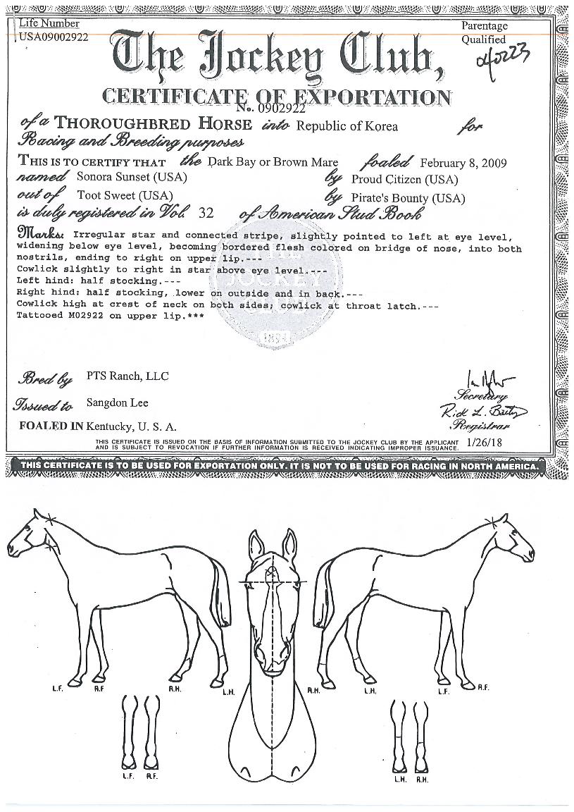 �ҳ�󼱼��� ����,���,�޸�,�λ�,�ٸ��� Ư¡����