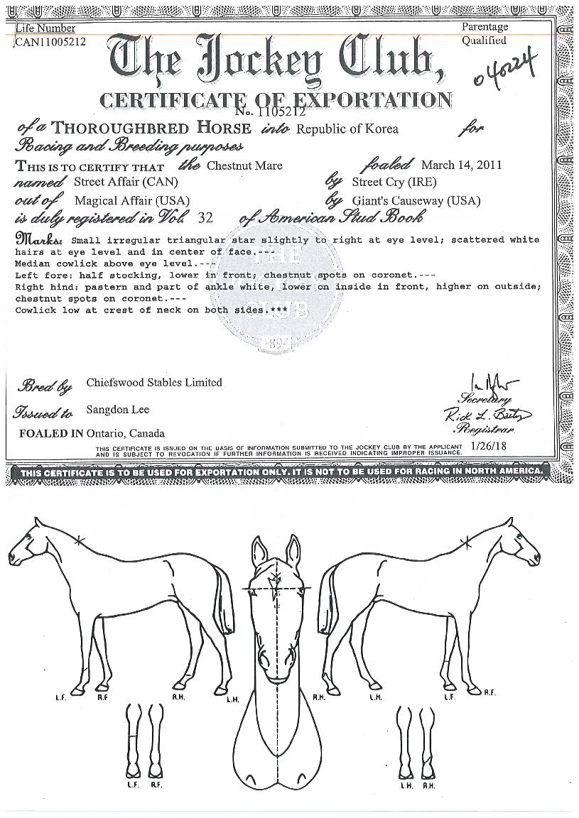 ��Ʈ��Ʈ������� ����,���,�޸�,�λ�,�ٸ��� Ư¡����