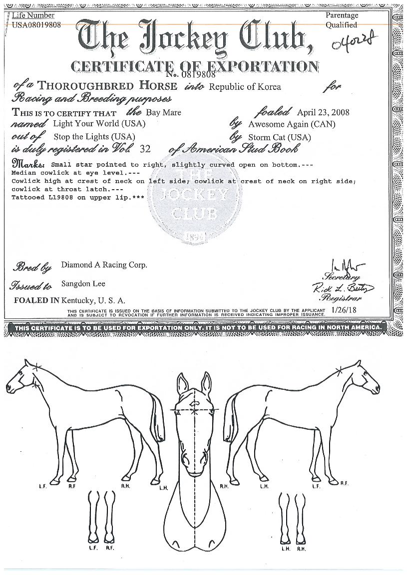 ����Ʈ��������� ����,���,�޸�,�λ�,�ٸ��� Ư¡����