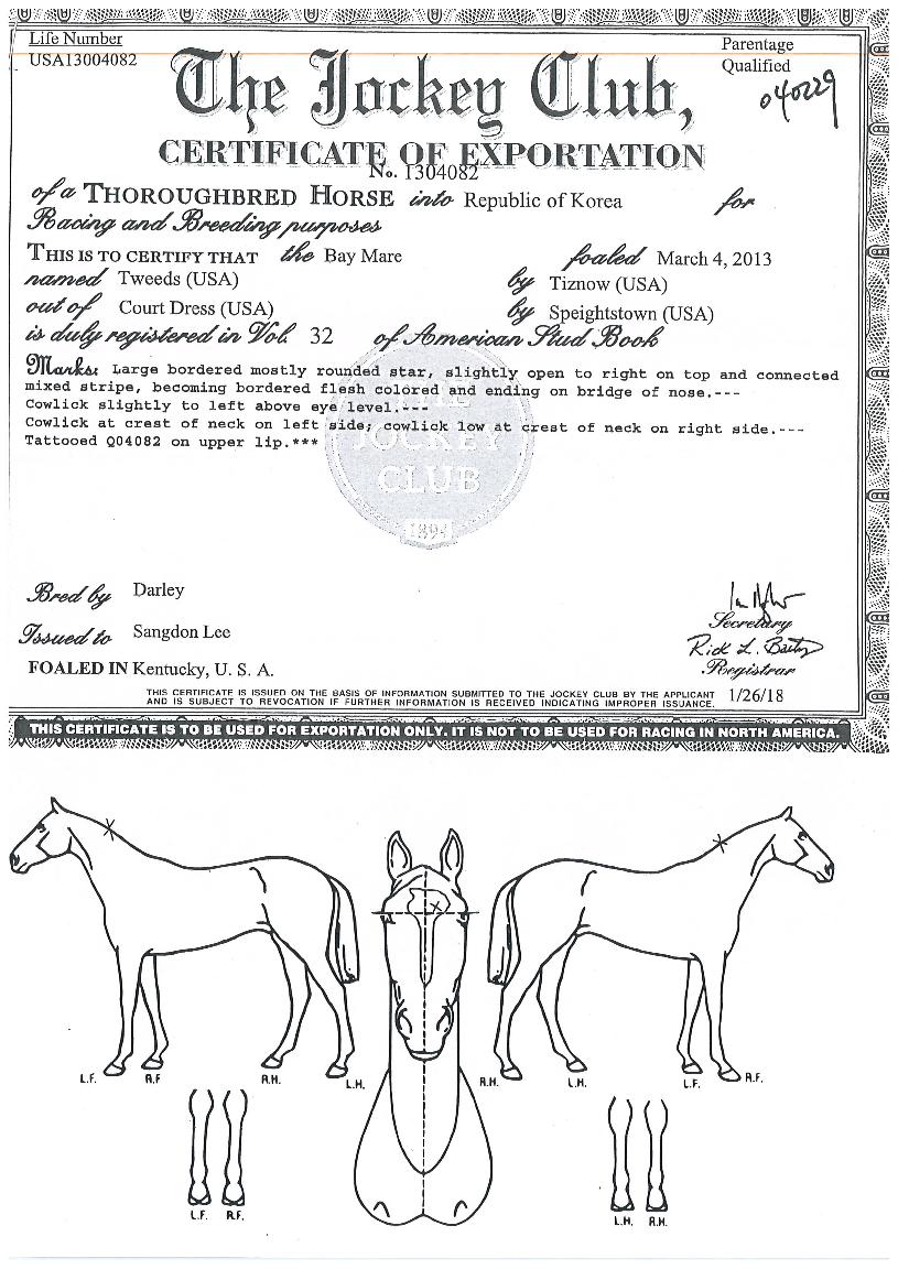 Ʈ������ ����,���,�޸�,�λ�,�ٸ��� Ư¡����