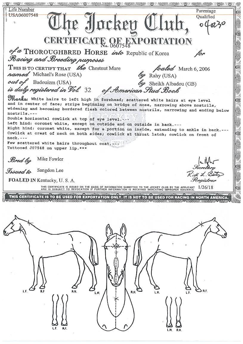 ¹ÌÿÁî·ÎÁîÀÇ Ãø¸é,¿ì¸é,µÞ¸é,µÎ»ó,´Ù¸®ÀÇ Æ¯Â¡µµÇØ