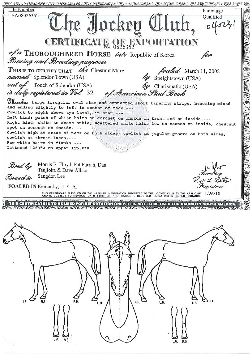 ½ºÇÁ·»µµÅ¸¿îÀÇ Ãø¸é,¿ì¸é,µÞ¸é,µÎ»ó,´Ù¸®ÀÇ Æ¯Â¡µµÇØ