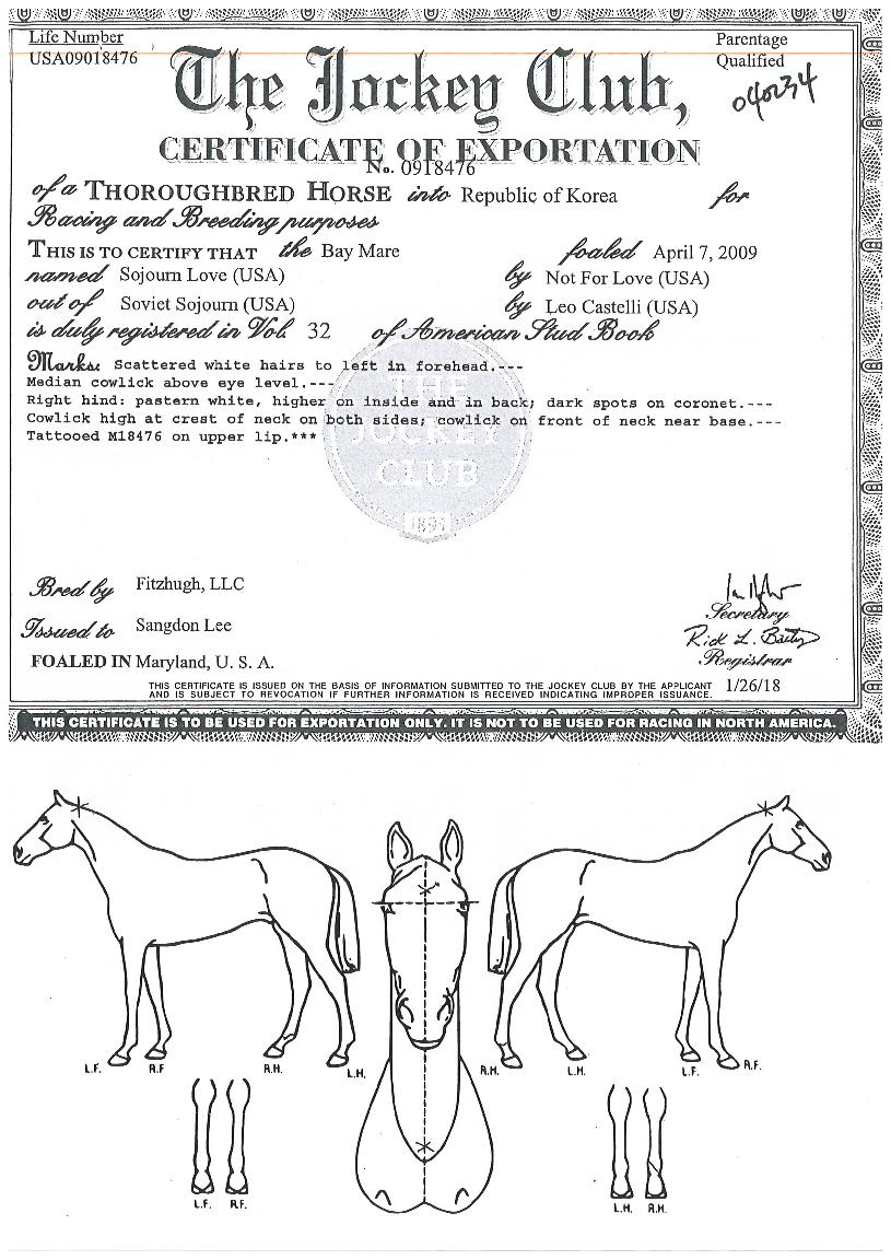 �ҿ��������� ����,���,�޸�,�λ�,�ٸ��� Ư¡����