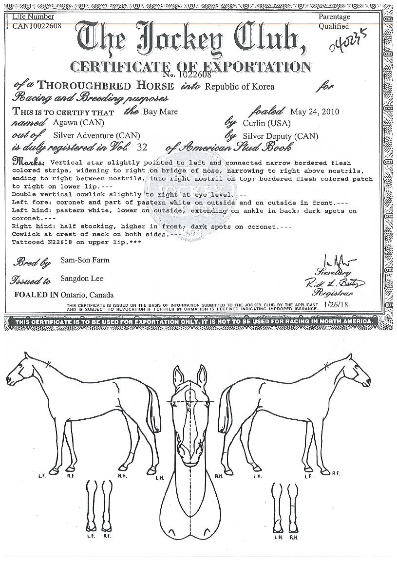 �ư����� ����,���,�޸�,�λ�,�ٸ��� Ư¡����