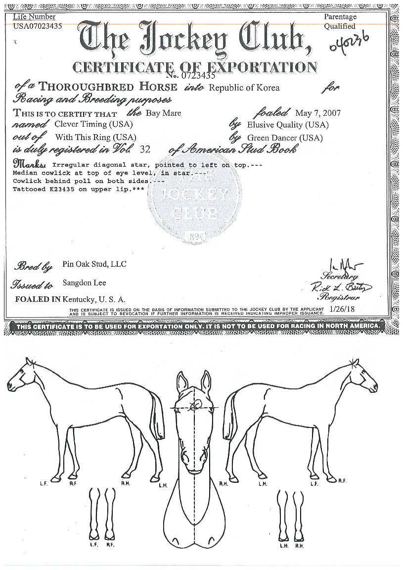 Ŭ����Ÿ�̹��� ����,���,�޸�,�λ�,�ٸ��� Ư¡����