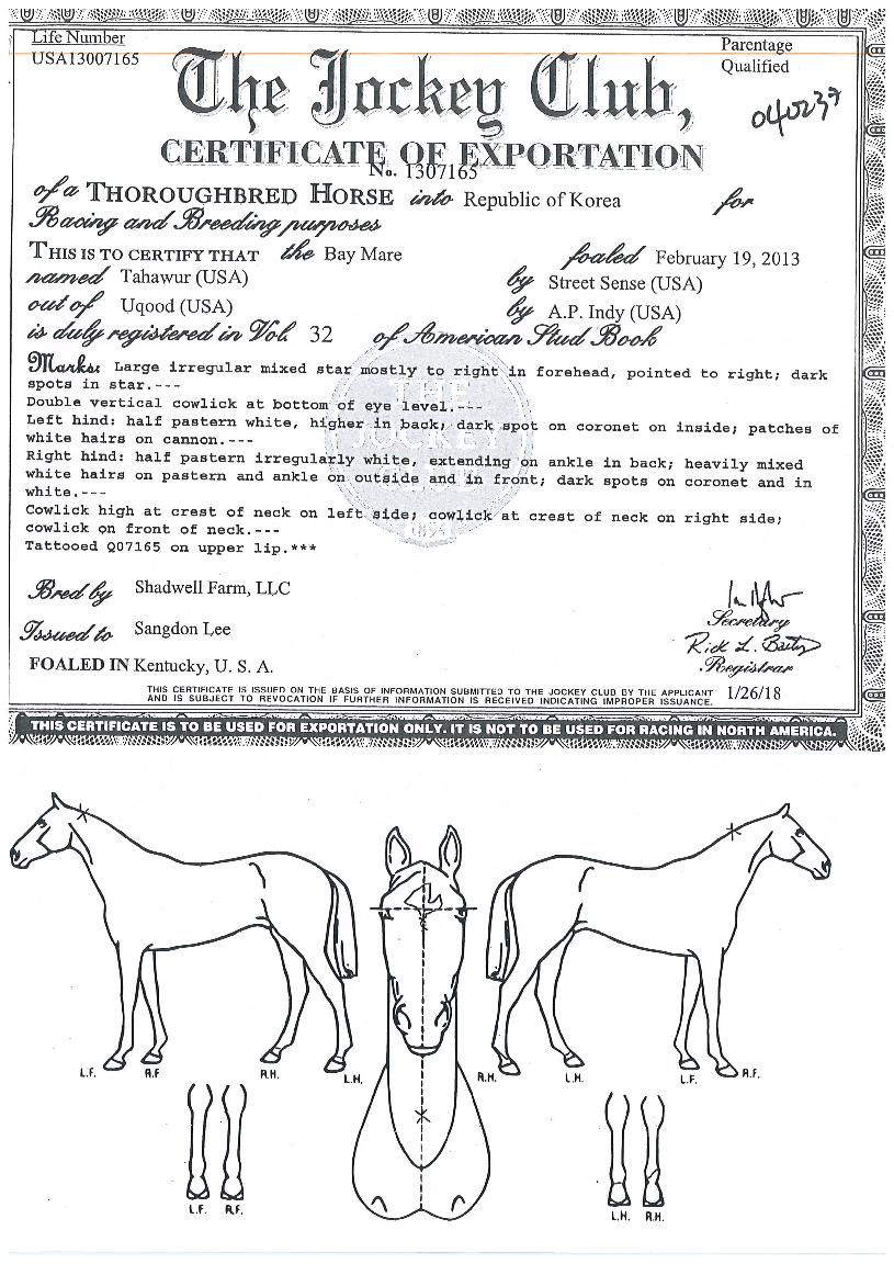 Ÿ�Ͽ츣�� ����,���,�޸�,�λ�,�ٸ��� Ư¡����