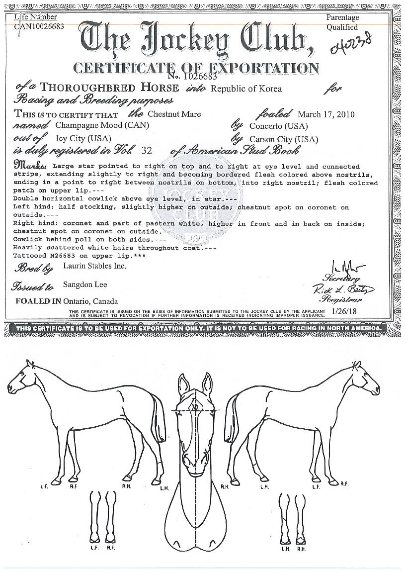 ¼¤ÆäÀι«µåÀÇ Ãø¸é,¿ì¸é,µÞ¸é,µÎ»ó,´Ù¸®ÀÇ Æ¯Â¡µµÇØ