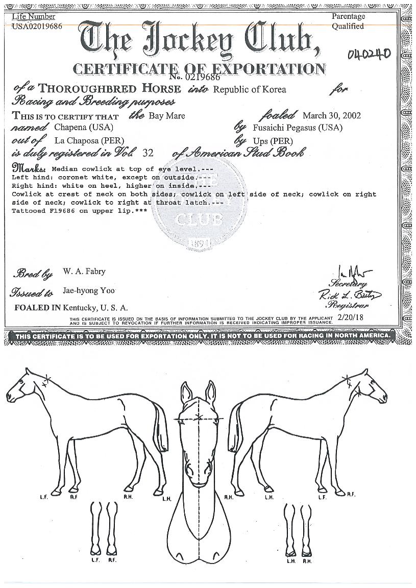 ä�ǳ��� ����,���,�޸�,�λ�,�ٸ��� Ư¡����