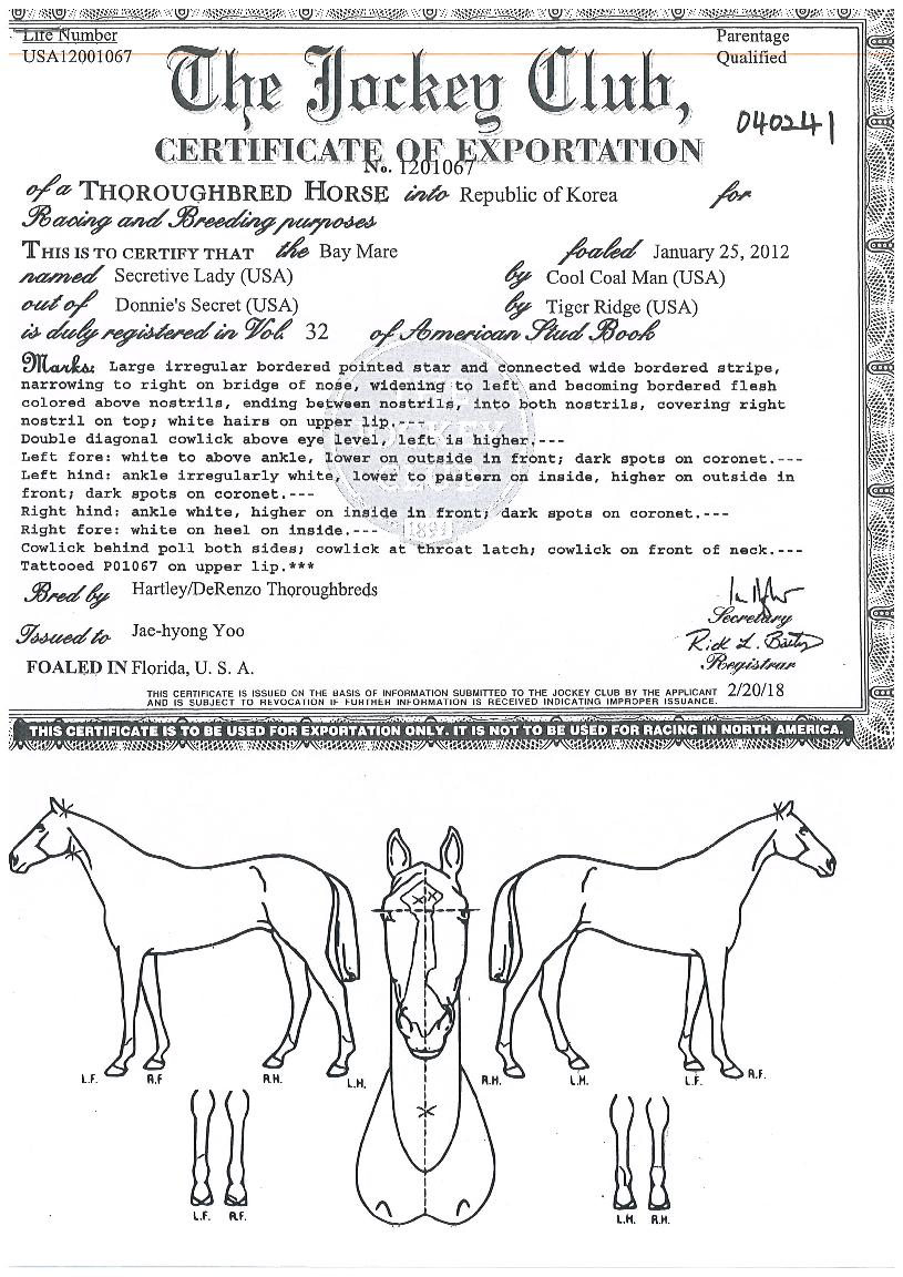 ��ũ��Ƽ�극�̵��� ����,���,�޸�,�λ�,�ٸ��� Ư¡����