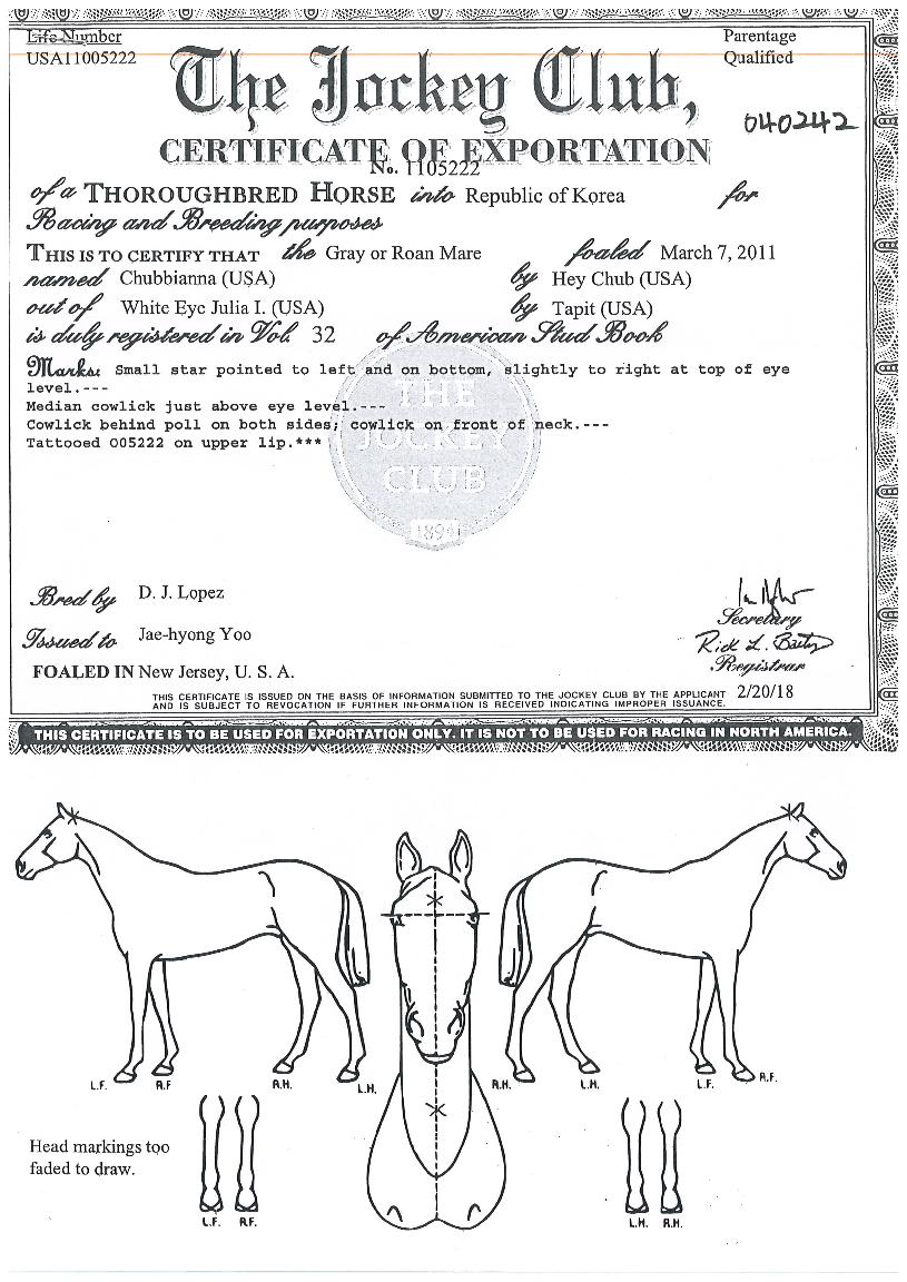 óºñ¾Æ³ÊÀÇ Ãø¸é,¿ì¸é,µÞ¸é,µÎ»ó,´Ù¸®ÀÇ Æ¯Â¡µµÇØ