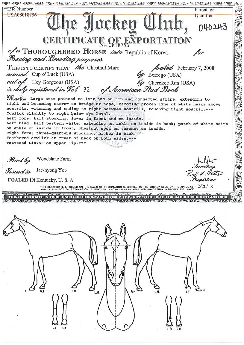 ÄÅ¿À·°ÀÇ Ãø¸é,¿ì¸é,µÞ¸é,µÎ»ó,´Ù¸®ÀÇ Æ¯Â¡µµÇØ