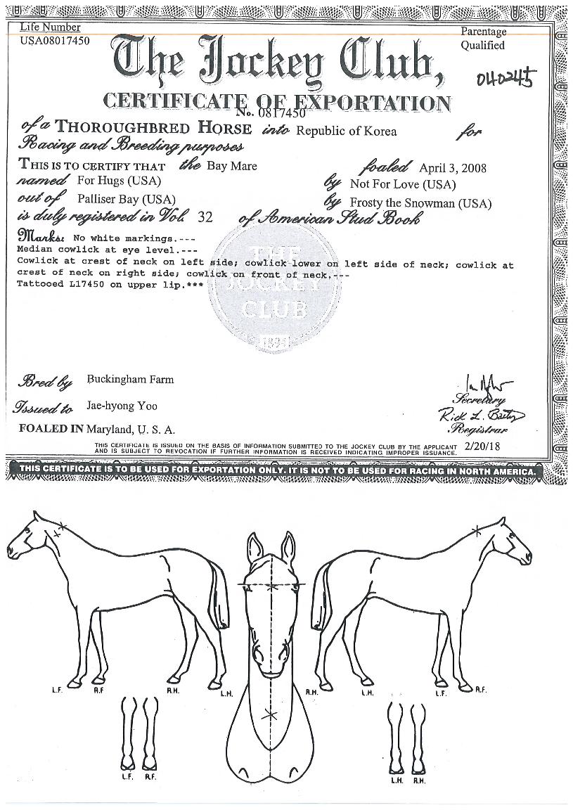 ��������� ����,���,�޸�,�λ�,�ٸ��� Ư¡����