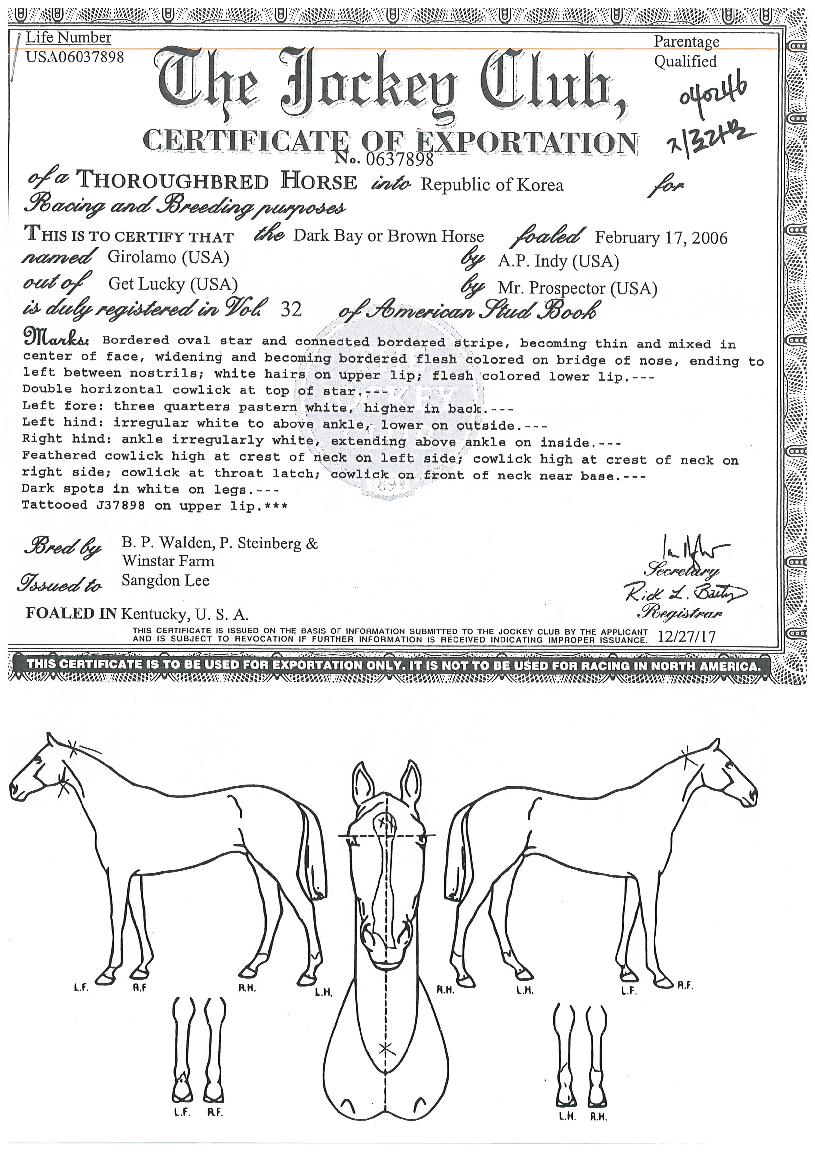 Áö·Ñ¶ó¸ðÀÇ Ãø¸é,¿ì¸é,µÞ¸é,µÎ»ó,´Ù¸®ÀÇ Æ¯Â¡µµÇØ