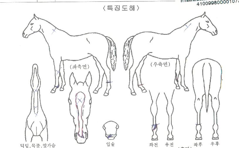 ���������� ����,���,�޸�,�λ�,�ٸ��� Ư¡����