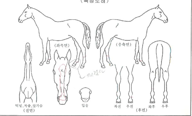 �ǿ�����ʵ��� ����,���,�޸�,�λ�,�ٸ��� Ư¡����