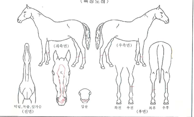 ����Ǯ������ ����,���,�޸�,�λ�,�ٸ��� Ư¡����