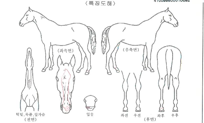 ���ζ��ڸ��� ����,���,�޸�,�λ�,�ٸ��� Ư¡����