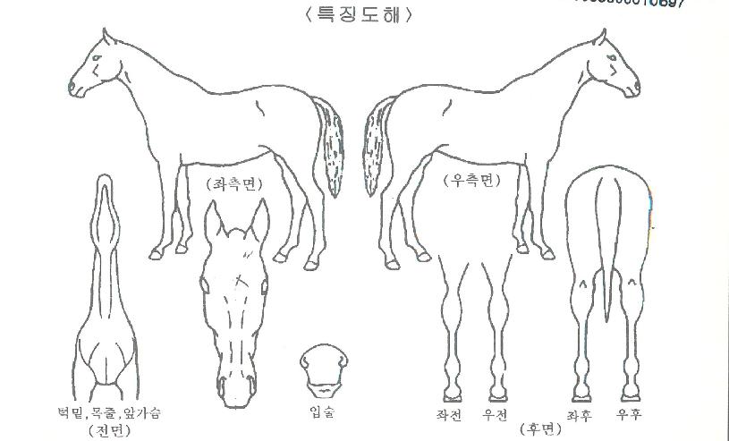 ������������ ����,���,�޸�,�λ�,�ٸ��� Ư¡����