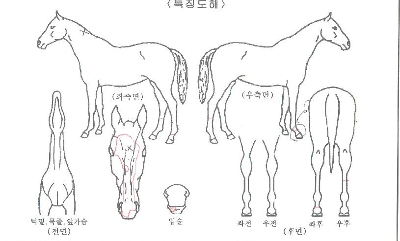 ������Ÿ���� ����,���,�޸�,�λ�,�ٸ��� Ư¡����