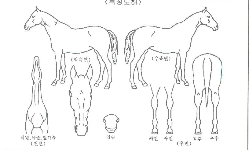 ����ű������ ����,���,�޸�,�λ�,�ٸ��� Ư¡����