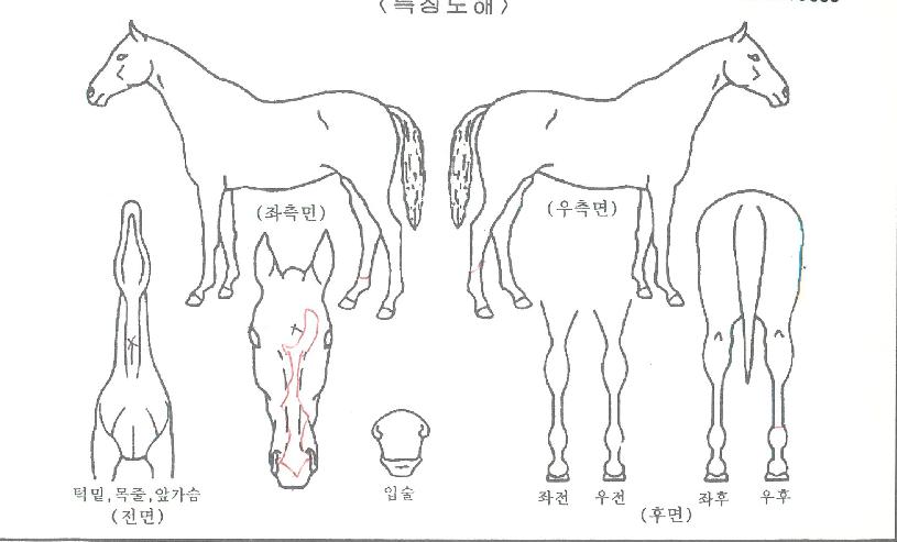 ��ź�������� ����,���,�޸�,�λ�,�ٸ��� Ư¡����