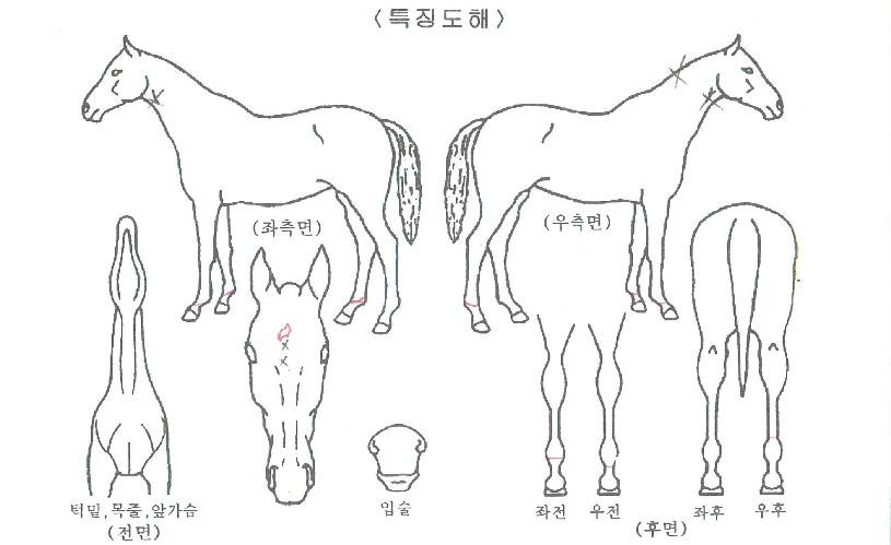 �ʵ������� ����,���,�޸�,�λ�,�ٸ��� Ư¡����