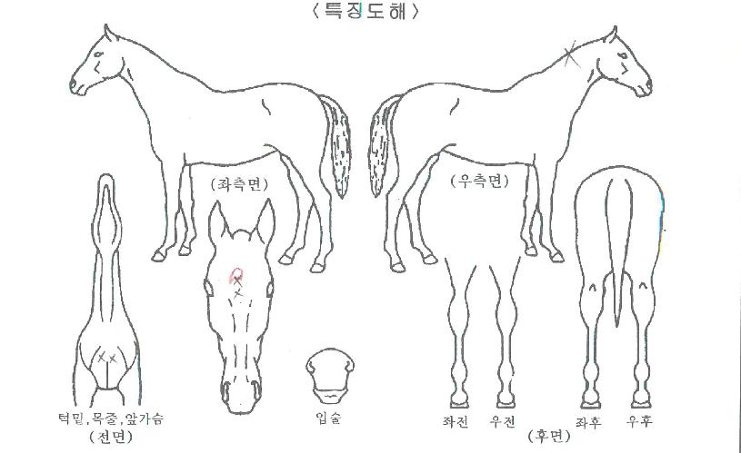 ��������� ����,���,�޸�,�λ�,�ٸ��� Ư¡����