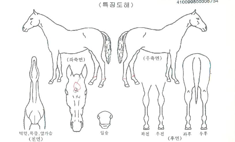 �������ƽ��� ����,���,�޸�,�λ�,�ٸ��� Ư¡����