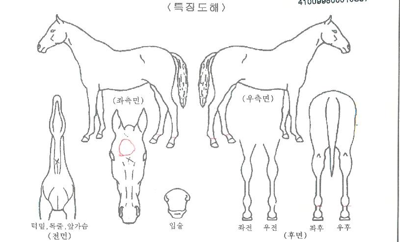�׷���Ʈ������ ����,���,�޸�,�λ�,�ٸ��� Ư¡����