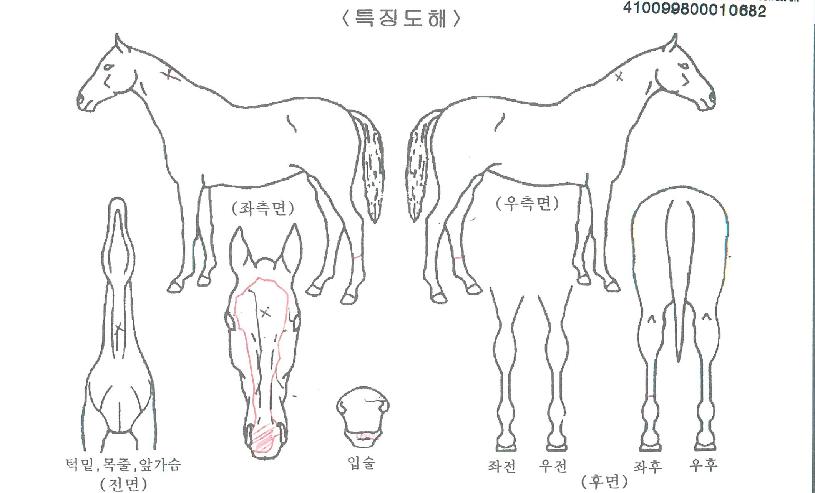 ����ȭ��Ʈ�� ����,���,�޸�,�λ�,�ٸ��� Ư¡����