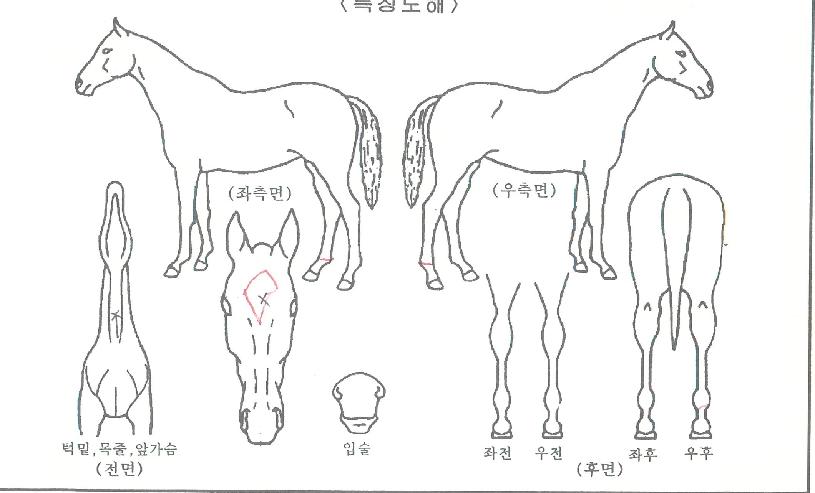 ������ ����,���,�޸�,�λ�,�ٸ��� Ư¡����