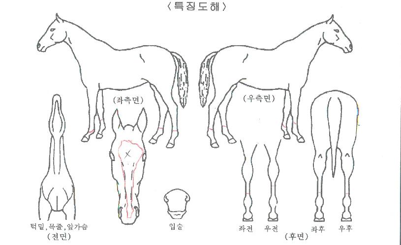 ������ ����,���,�޸�,�λ�,�ٸ��� Ư¡����