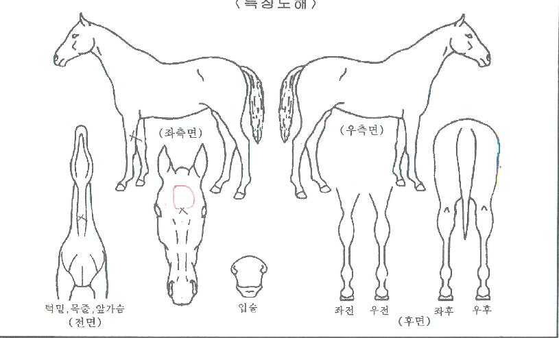 �������� ����,���,�޸�,�λ�,�ٸ��� Ư¡����