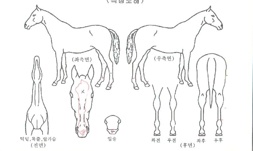 ������Ÿ���� ����,���,�޸�,�λ�,�ٸ��� Ư¡����